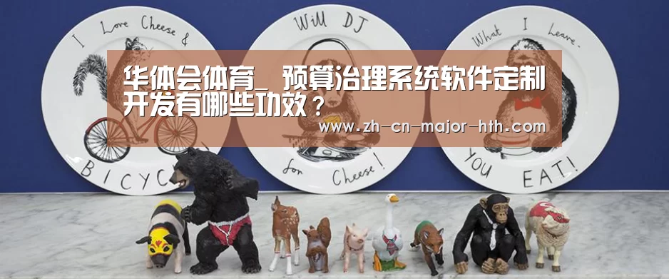 华体会体育_
预算治理系统软件定制开发有哪些功效?(图3) 华体会体育
