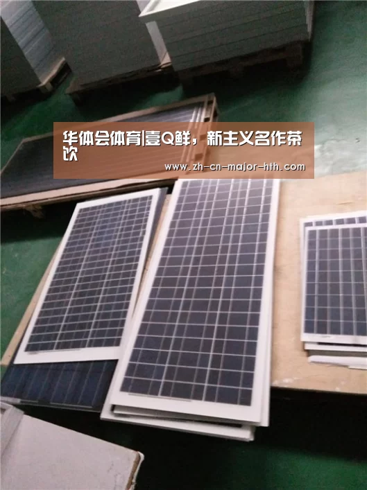 华体会体育