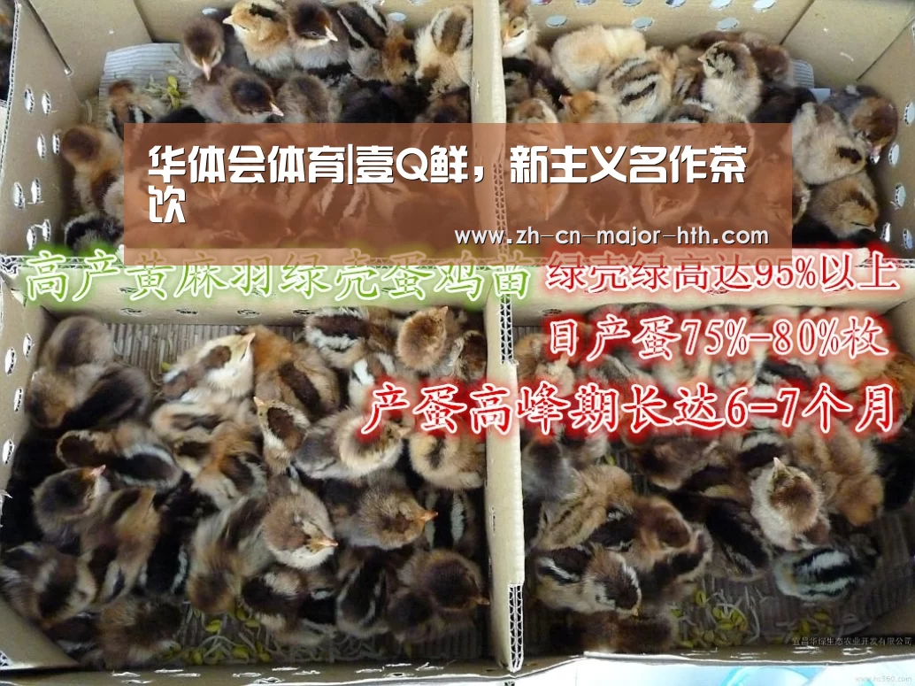 华体会体育