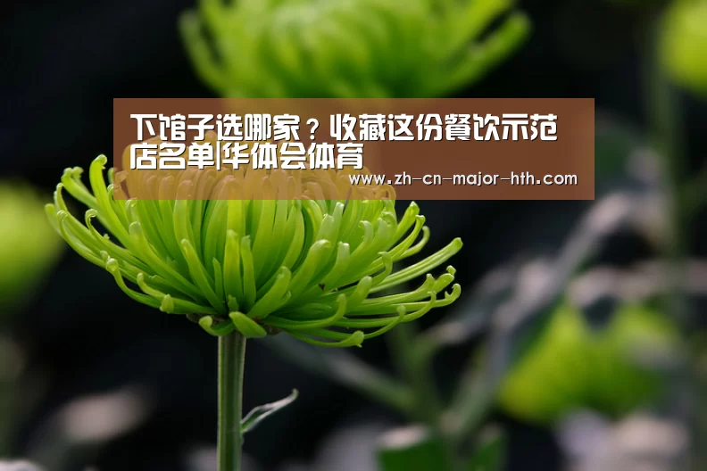 华体会体育