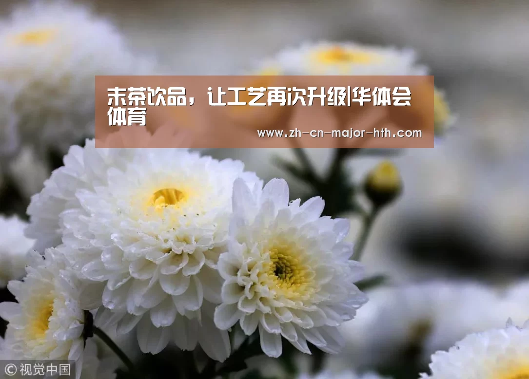 末茶饮品,让工艺再次升级|华体会体育(图1) 华体会体育
